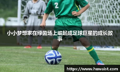 小小梦想家在绿茵场上崛起成足球巨星的成长故事